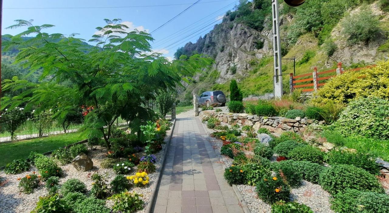 Cabanute Alex Villa Capalna Buitenkant foto