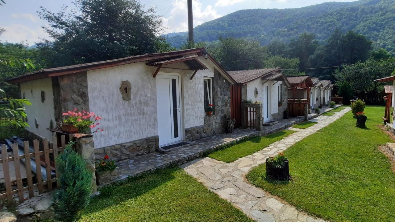 Cabanute Alex Villa Capalna Buitenkant foto