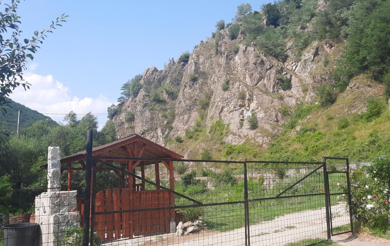 Cabanute Alex Villa Capalna Buitenkant foto